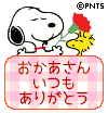 44864436