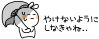 25792837