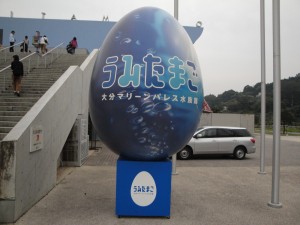 DSC00724-1