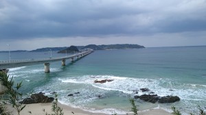 DSC_0034(2)-1